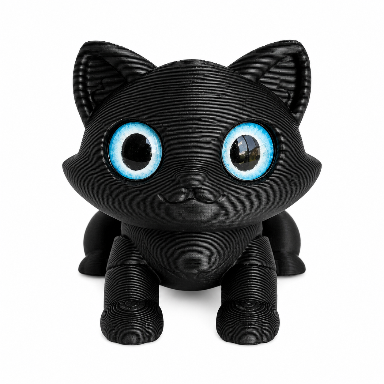 Cloudberry / Black kitty